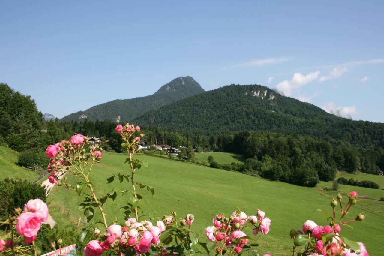 Apartamento Haus Bergfrieden